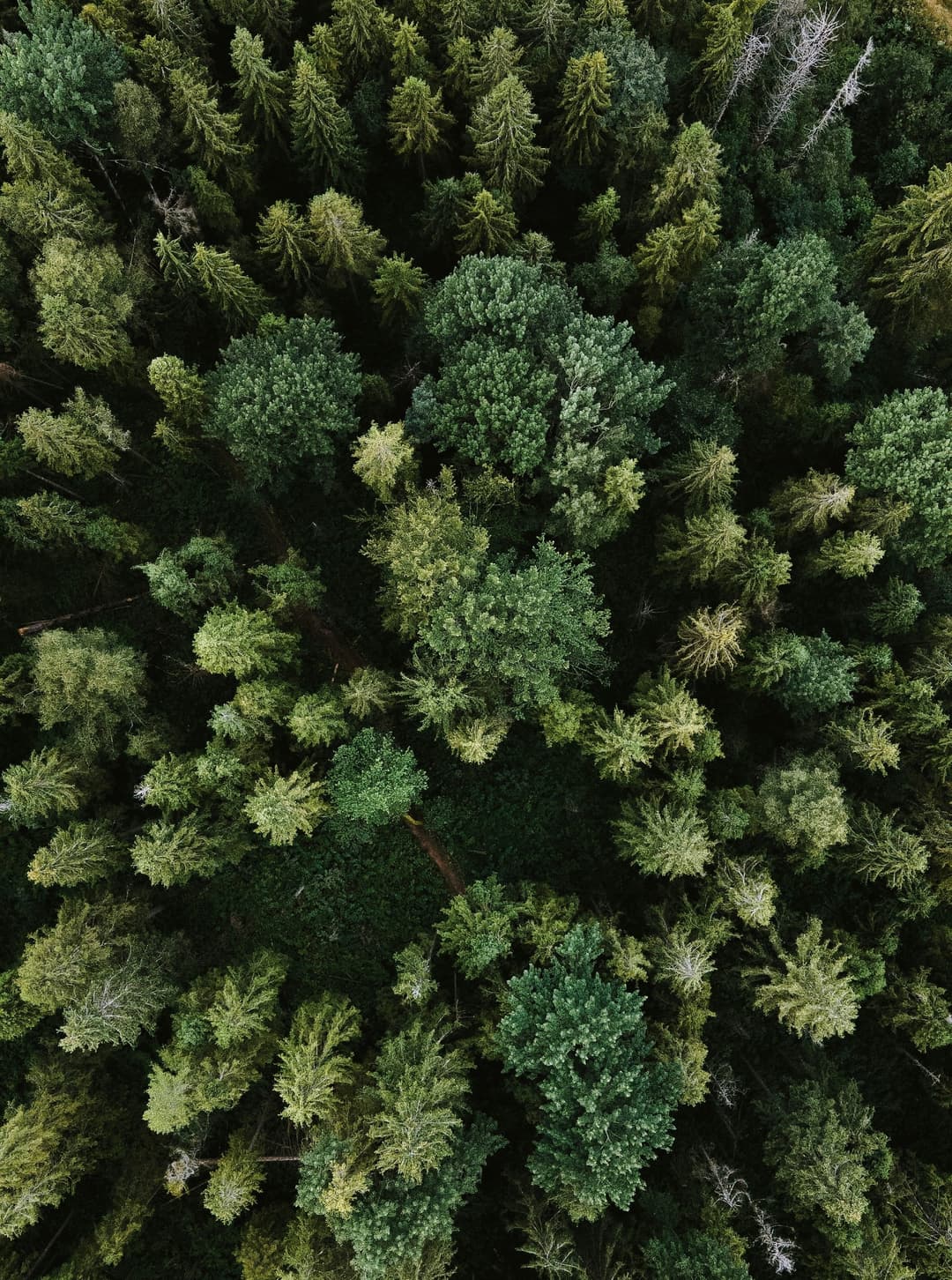Expert Indoor Air Quality Solutions for Central Florida Homes and Businesses