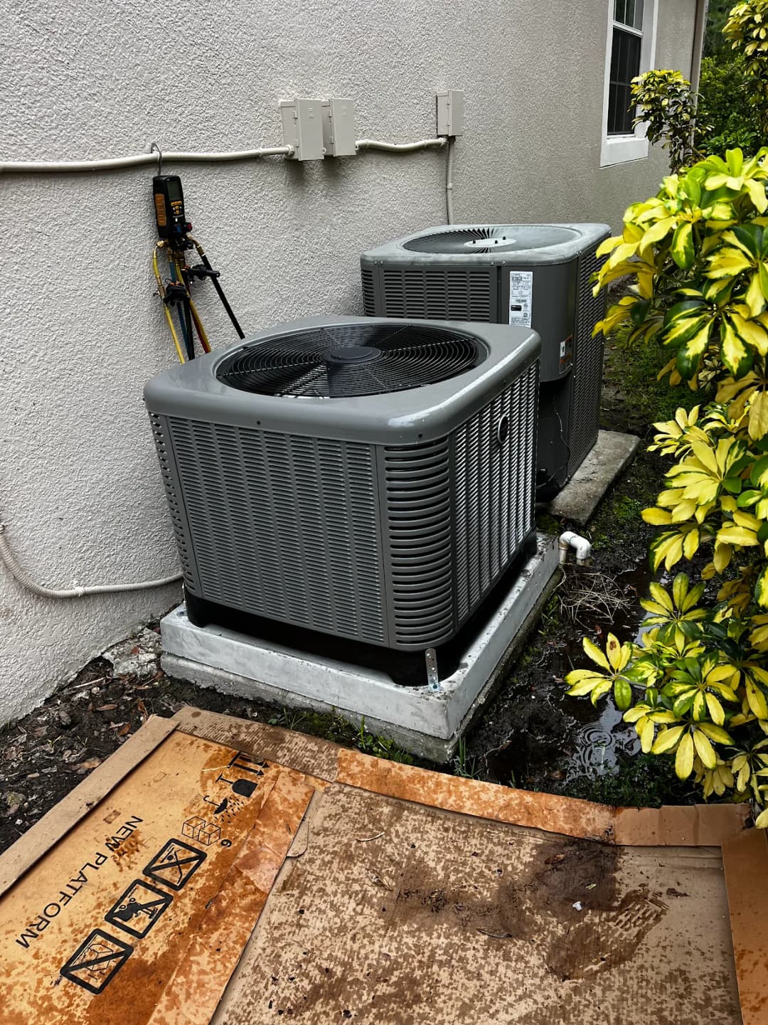 Year-Round Comfort with Energy-Efficient Heating & Cooling